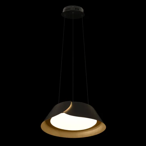 Светильник подвесной LED Lane 10370P Black LOFT IT белый на 1 лампу, основание чёрное в стиле современный фото 2