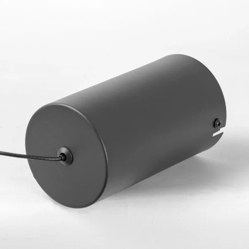Люстра подвесная LED Hardin LSP-7434 Lussole прозрачная на 1 лампу, основание чёрное в стиле современный кольца фото 3