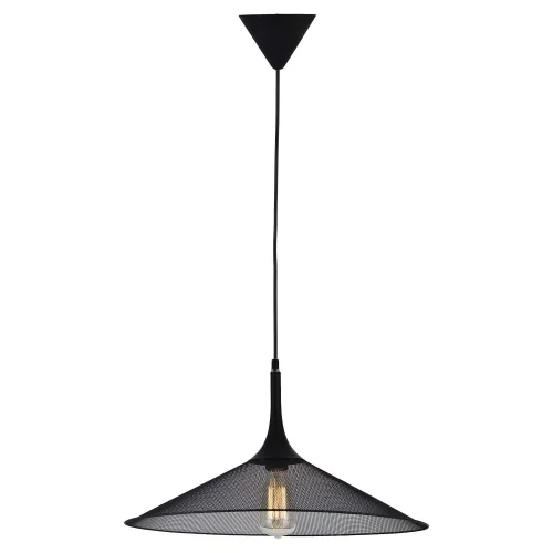 Светильник подвесной лофт LSP-9813 Lussole чёрный прозрачный 1 лампа, основание чёрное в стиле лофт  фото 2