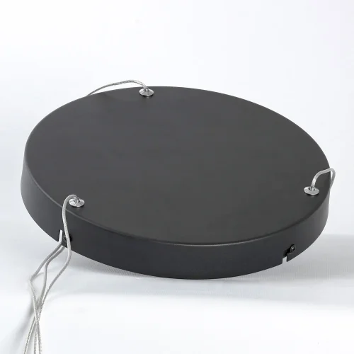 Люстра подвесная LED Hardin LSP-7427 Lussole прозрачная на 1 лампу, основание коричневое в стиле хай-тек современный минимализм кольца фото 4