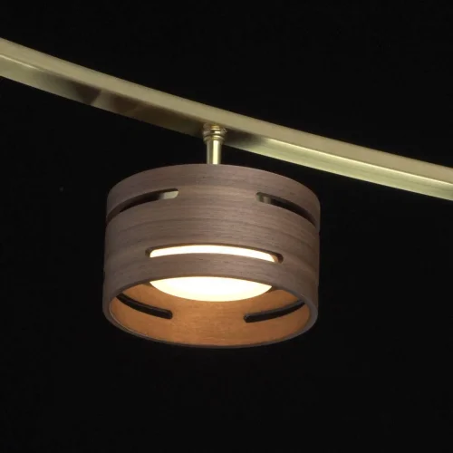 Светильник потолочный LED Чил-аут 725011006 DeMarkt коричневый 6 ламп, основание золотое в стиле хай-тек  фото 5