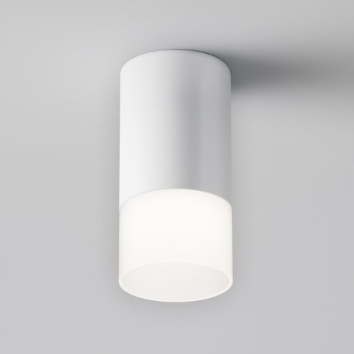 Светильник накладной Pauline C007CW-01W Maytoni белый 1 лампа, основание белое в стиле современный круглый фото 3