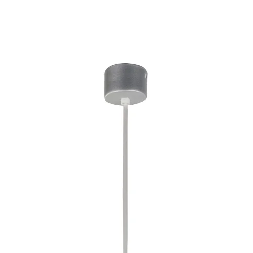 Светильник подвесной LED Somnium 2242-1P Favourite серебряный на 1 лампу, основание серебряное в стиле современный трубочки фото 3