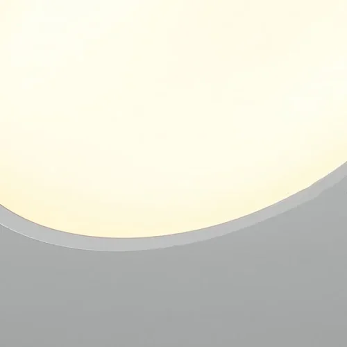 Светильник потолочный SELDEN D20 White 208111-23 ImperiumLoft белый на 1 лампу, основание белое в стиле современный фото 17