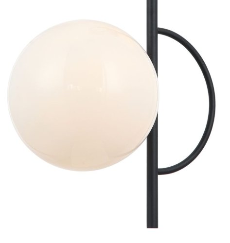 Светильник подвесной Vine 2138/02/02P Stilfort белый 2 лампы, основание чёрное в стиле современный шар фото 3