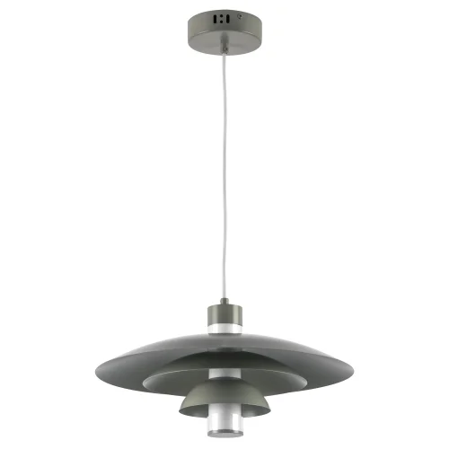 Светильник подвесной LED Erbareo 799019 Lightstar серый на 1 лампу, основание серое в стиле лофт современный 
