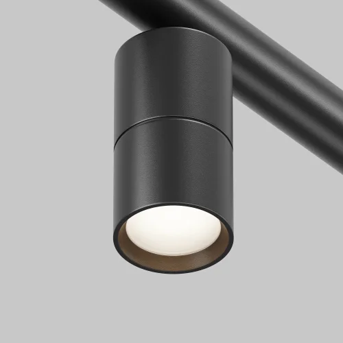 Светильник Focus Led для штанговой системы освещения Axity 3000-6000К 5Вт 36° C103CL-5W3-6K-B Maytoni чёрный для шинопроводов серии Axity Maytoni чёрный фото 2