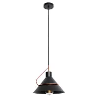 Светильник подвесной лофт Bossier GRLSP-8265 Lussole чёрный 1 лампа, основание чёрное в стиле лофт 