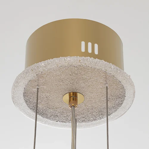 Люстра подвесная LED Deltoro CL327150 Citilux прозрачная на 1 лампу, основание золотое в стиле современный флористика арт-деко фото 6