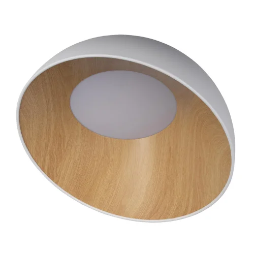 Светильник потолочный LED Egg 10197/500 White LOFT IT белый бежевый коричневый 1 лампа, основание коричневое белое в стиле современный  фото 3