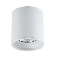 Светильник накладной LED ST165.532.12 ST-Luce белый на 1 лампу, основание белое в стиле современный круглый