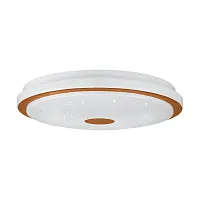 Светильник потолочный LED Lanciano 1 900598 Eglo белый 1 лампа, основание белое в стиле современный тарелка