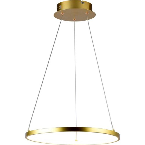 Светильник подвесной LED Efesta 2029/83/01P Stilfort золотой 1 лампа, основание золотое в стиле современный кольца