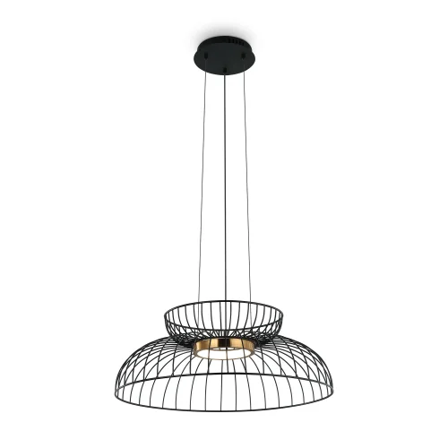 Светильник подвесной LED Citrus FR5398PL-L6B Freya чёрный на 1 лампу, основание чёрное в стиле современный 