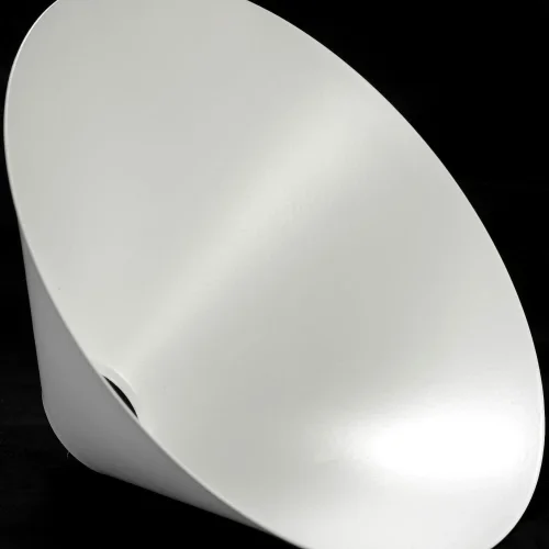 Светильник подвесной лофт Bossier LSP-8264 Lussole белый 1 лампа, основание белое в стиле лофт  фото 7