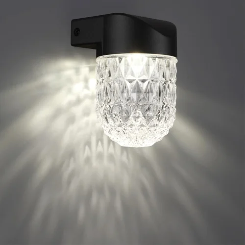 Настенный светильник уличный LED Estima 359295 Novotech уличный IP65 чёрный на 1 лампу, плафон прозрачный в стиле современный LED фото 2