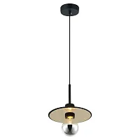 Светильник подвесной LSP-8490 Lussole чёрный 1 лампа, основание чёрное в стиле лофт 