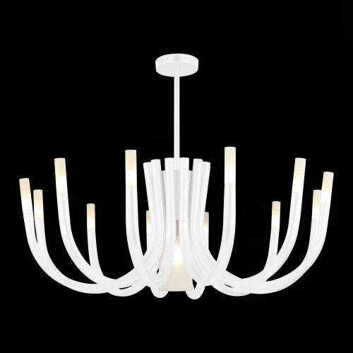 Люстра потолочная Pafe SL1173.502.13 ST-Luce белая на 12 ламп, основание белое в стиле современный  фото 3