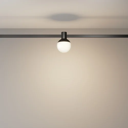 Трековый светильник LED Magnetic trаck system Flarity TR149-1-5W3K-B Maytoni белый для шинопроводов серии Magnetic trаck system Flarity чёрный фото 6