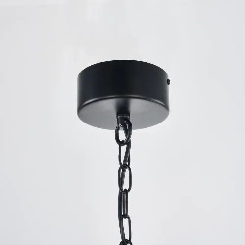 Светильник подвесной LED Castled 4009-4P Favourite чёрный 2 лампы, основание чёрное в стиле современный  фото 4