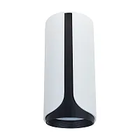 Светильник накладной Pino A7376PL-1WH Arte Lamp белый 1 лампа, основание белое в стиле модерн круглый