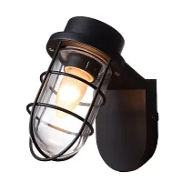 Настенный светильник Pointer 3021-1W Favourite уличный IP44 чёрный 1 лампа, плафон прозрачный в стиле современный E27