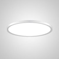 Светильник потолочный EXTRASLIM D80 White 212743-26 ImperiumLoft белый 1 лампа, основание белое в стиле современный 