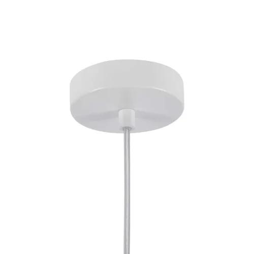 Светильник подвесной Alba 4101-1P Favourite прозрачный 1 лампа, основание белое в стиле современный шар фото 3