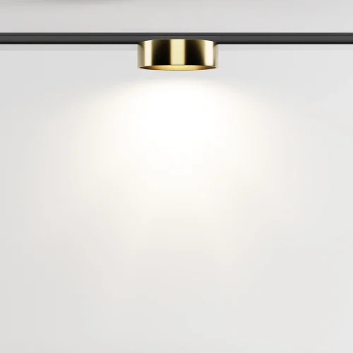 Трековый светильник Zon 4000К 12Вт 100° Magnetic track system Levity TR189-1-12W4K-BBS Maytoni латунь для шинопроводов серии Magnetic track system Levity латунь чёрный фото 4