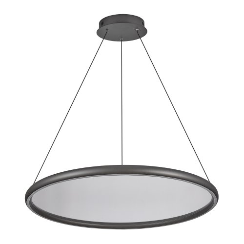 Светильник подвесной LED с пультом Custer LSP-7423 Lussole белый на 1 лампу, основание чёрное в стиле хай-тек современный кольца с пультом Светильник подвесной LED с пультом Custer LSP-7423 Lussole белый на 1 лампу, основание чёрное в стиле хай-тек современный кольца с пультом