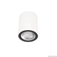 Светильник накладной Rush 10344 White LOFT IT белый 1 лампа, основание белое в стиле современный хай-тек трубочки