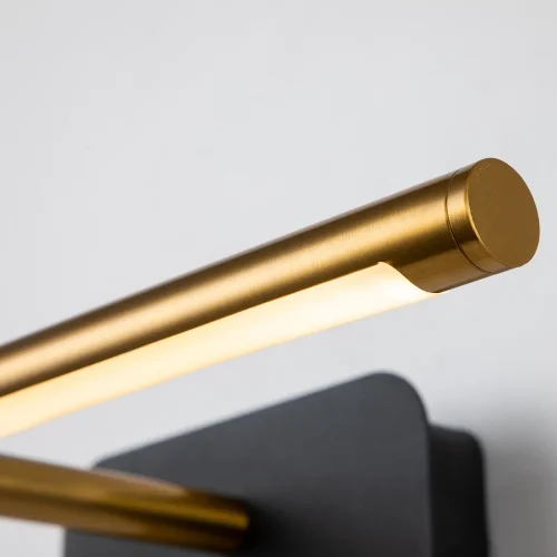 Подсветка для картин LED Insight 4016-1W Favourite золотая в стиле модерн фото 4