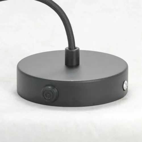 Люстра подвесная Elmira LSP-8206-G Lussole без плафона на 18 ламп, основание чёрное в стиле лофт современный  фото 4