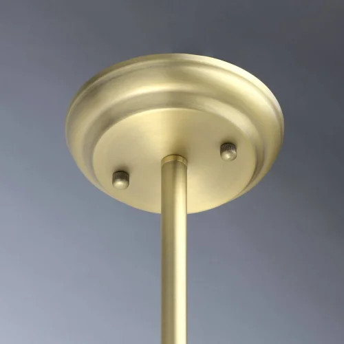 Люстра подвесная Альгеро 285010910 MW-Light прозрачная на 10 ламп, основание бронзовое в стиле классический  фото 13