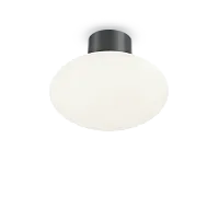 Потолочный светильник CLIO MPL1 ANTRACITE Ideal Lux уличный IP44 серый чёрный 1 лампа, плафон белый в стиле современный E27