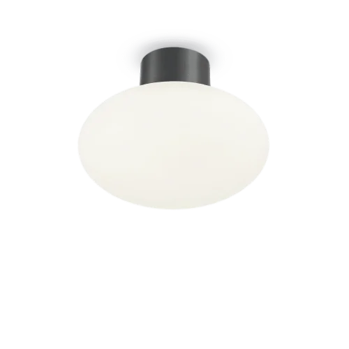 Потолочный светильник CLIO MPL1 ANTRACITE Ideal Lux уличный IP44 серый чёрный 1 лампа, плафон белый в стиле современный E27