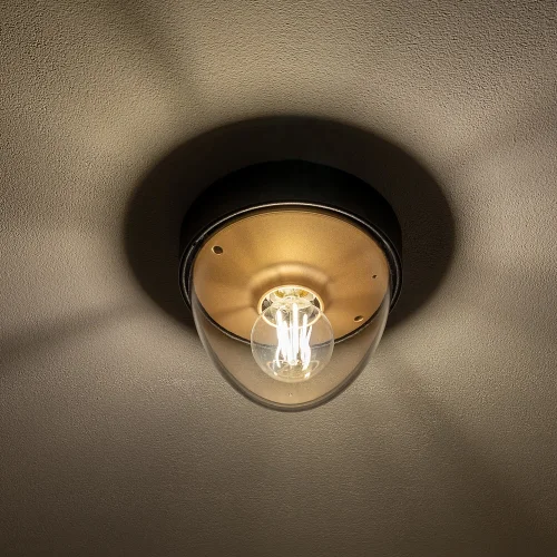 Светильник потолочный Nook 7976-NW Nowodvorski прозрачный на 1 лампу, основание чёрное в стиле современный фото 3