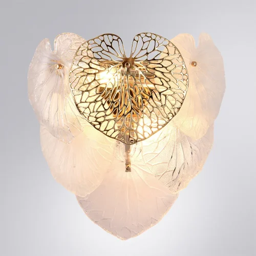 Бра Kapri A4078AP-2GO Arte Lamp прозрачный на 2 лампы, основание золотое в стиле флористика современный  фото 2