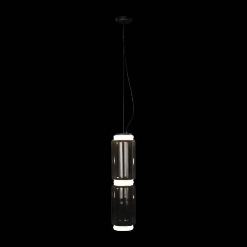 Светильник подвесной LED Noctambule 10194/M LOFT IT прозрачный 1 лампа, основание чёрное в стиле современный  фото 4