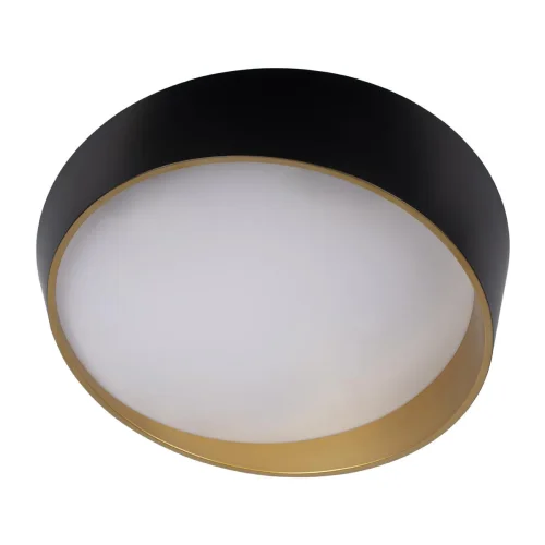 Светильник потолочный LED Coin 10199 Black LOFT IT чёрный белый золотой 1 лампа, основание чёрное в стиле современный  фото 3