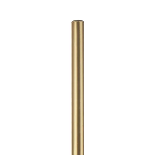 Бра LED Tubo 748833 Lightstar золотой на 1 лампа, основание золотое в стиле минимализм отражённый свет фото 3