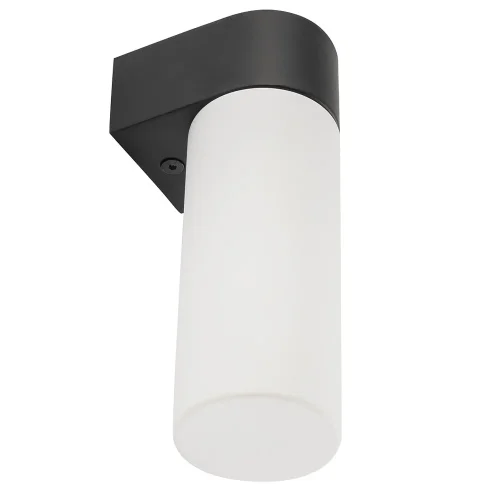 Бра Natalie 10725-NW Nowodvorski белый на 1 лампу, основание чёрное в стиле современный фото 5