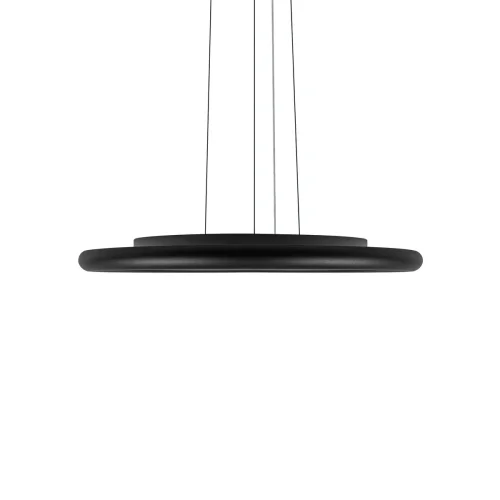 Светильник подвесной LED Sweety 10454/400P Black LOFT IT белый на 1 лампу, основание чёрное в стиле современный хай-тек круглый фото 5