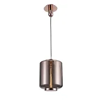 Светильник подвесной лофт JARRAS 6193 Mantra прозрачный медь 1 лампа, основание медь в стиле лофт выдувное