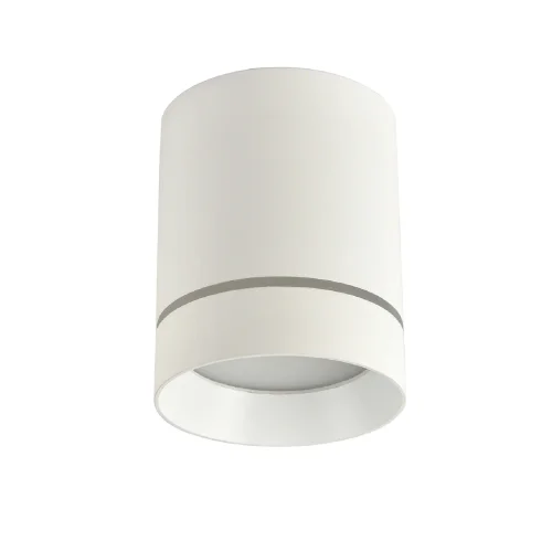 Светильник накладной Darar 3064-1C Favourite белый 1 лампа, основание белое в стиле современный круглый фото 2