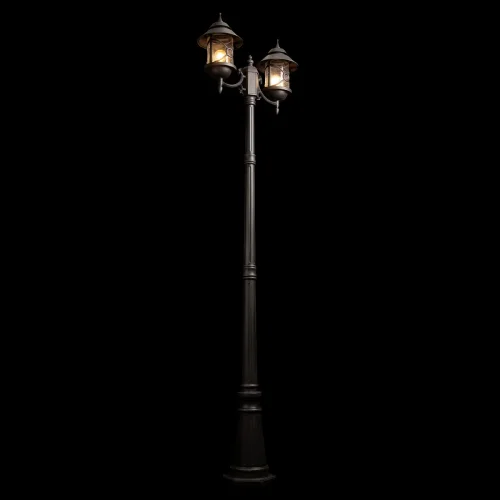 Парковый светильник Prato 100021/2200 LOFT IT уличный IP55 чёрный на 2 лампы, плафон прозрачный в стиле классический кантри замковый E27 фото 6
