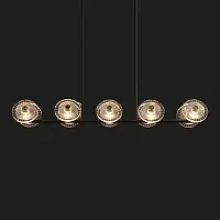 Светильник потолочный JANICA LONG L10 Black Brass 205367-23 ImperiumLoft прозрачный 10 ламп, основание латунь в стиле современный 