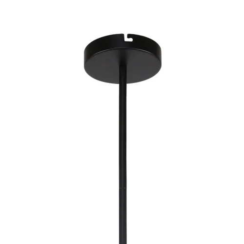 Люстра на штанге Sheeny 3088-6P F-promo серая чёрная на 6 ламп, основание чёрное в стиле современный шар фото 3