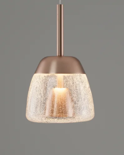 Светильник подвесной LED Eir V10874-PL Moderli прозрачный 1 лампа, основание коричневое в стиле современный  фото 3