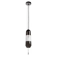 Светильник подвесной Lich 5012/06 SP-1 Divinare чёрный 1 лампа, основание хром в стиле современный 